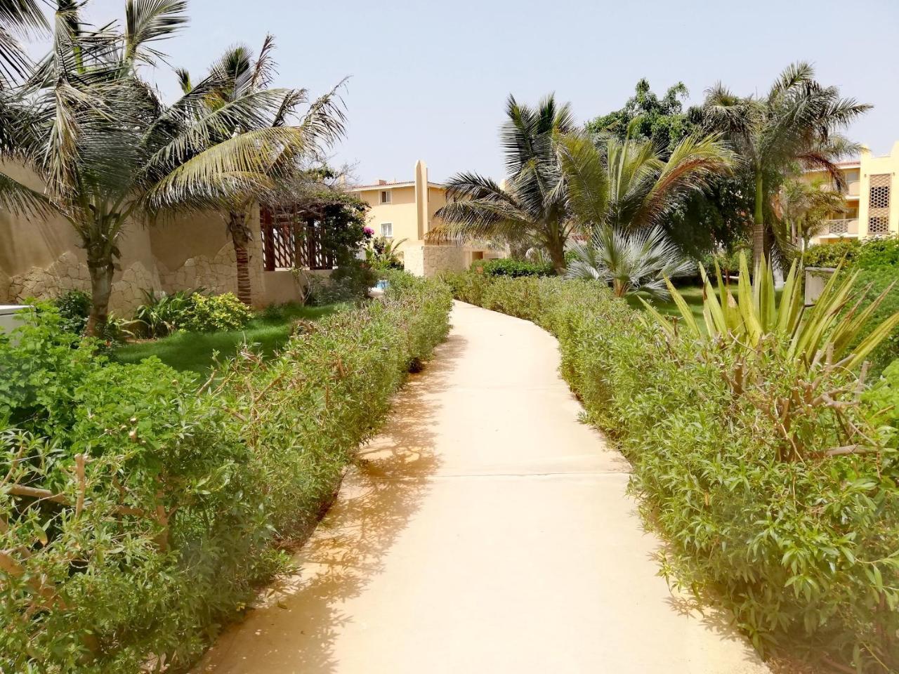 Apartment | In Tropical Resort | Pool | Close To Beach سانتا ماريا المظهر الخارجي الصورة